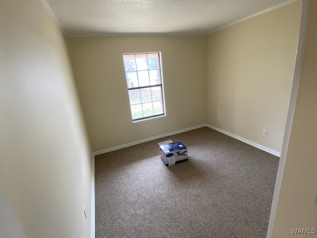 3580 Co Rd 23, Fayette, Alabama image 16