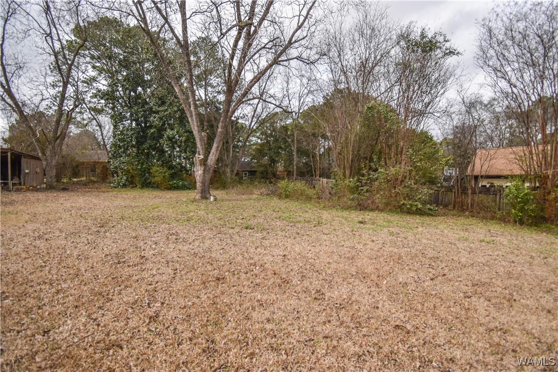 704 Rice Valley Road, Tuscaloosa, Alabama image 14