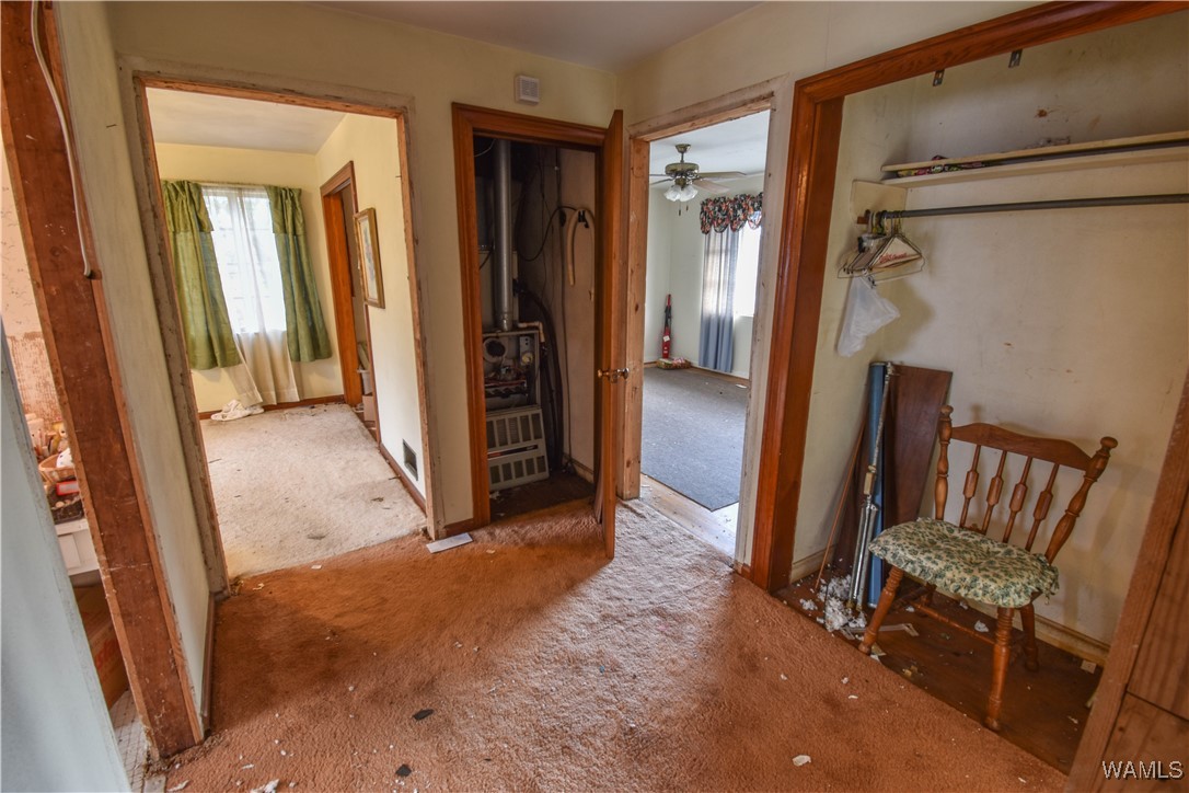 704 Rice Valley Road, Tuscaloosa, Alabama image 35