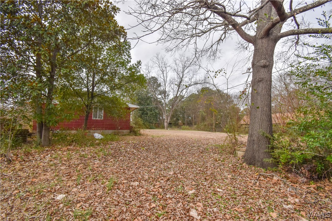704 Rice Valley Road, Tuscaloosa, Alabama image 10