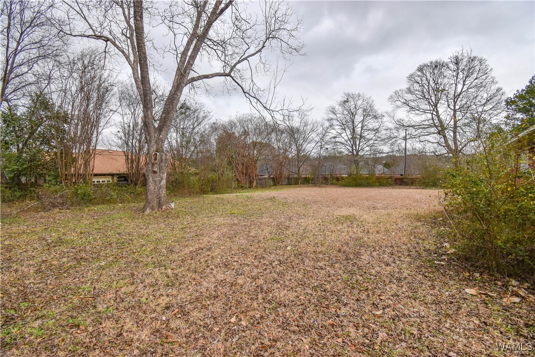 704 Rice Valley Road, Tuscaloosa, Alabama image 19