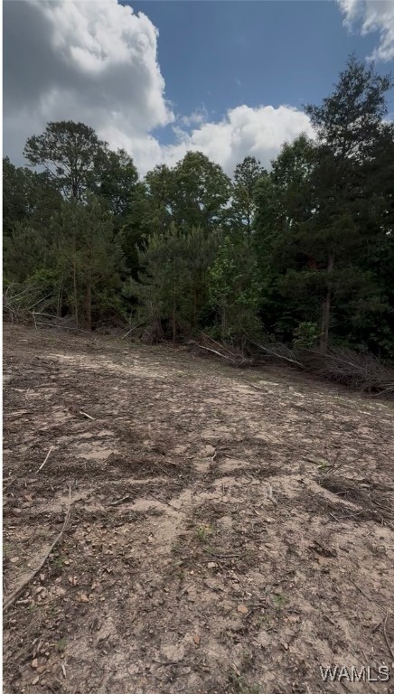 15 Davidson Road, Reform, Alabama image 2