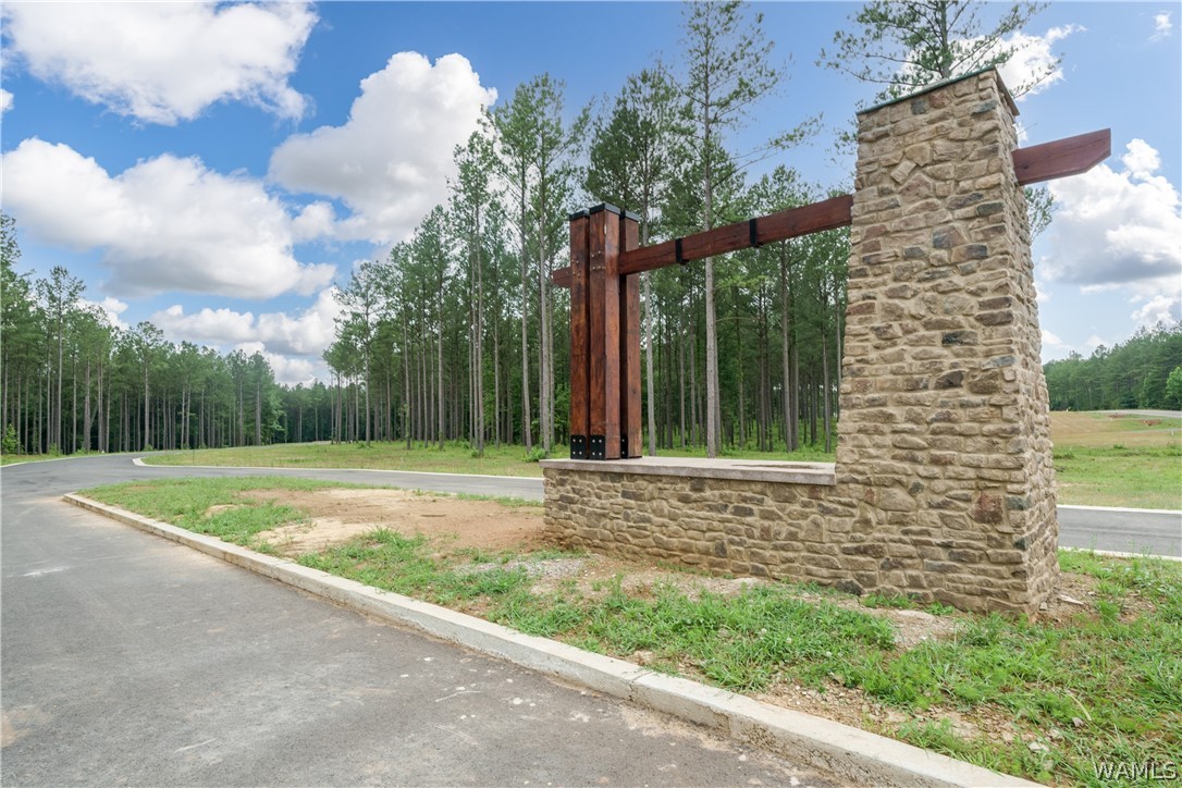 Lot 19 Stormi Way, Berry, Alabama image 3