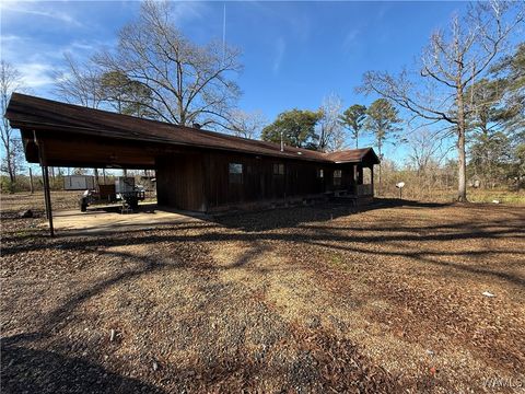 Homes For Sale - 685 County 181<br/> Greene County, Eutaw, AL 35462