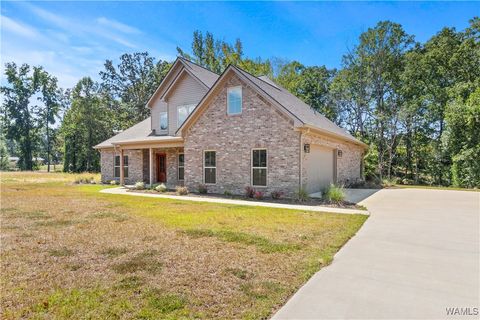 Homes For Sale - 13756 Brandon James Ave Ave<br/> North Port, AL 35475