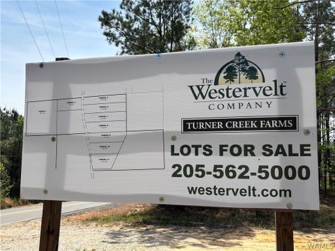 Vacant Land For Sale - Morman 8 Road<br/> North Port, AL 35475