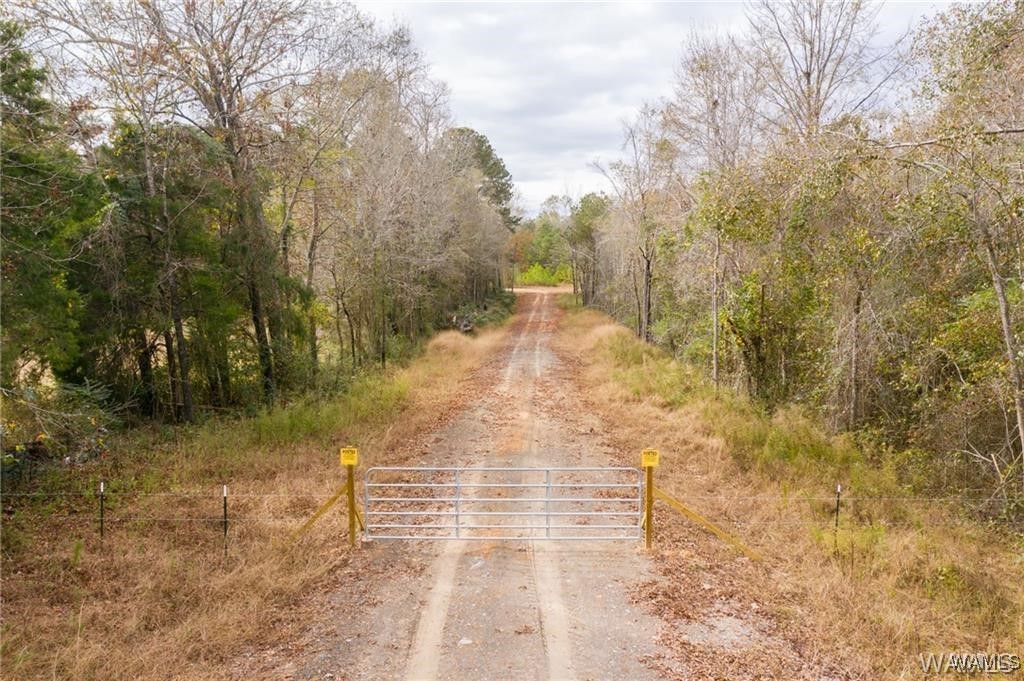 Morman 10 Road, North Port, Alabama image 9