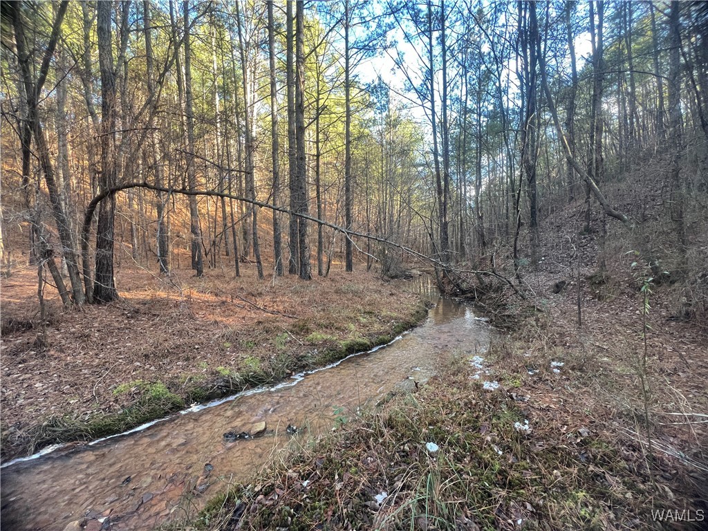 Chigger Ridge Rd, Brookwood, Alabama image 9