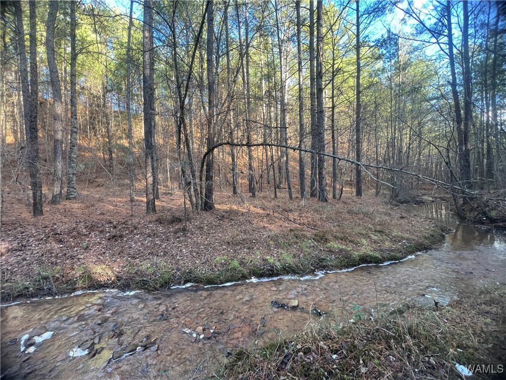 Chigger Ridge Rd, Brookwood, Alabama image 10