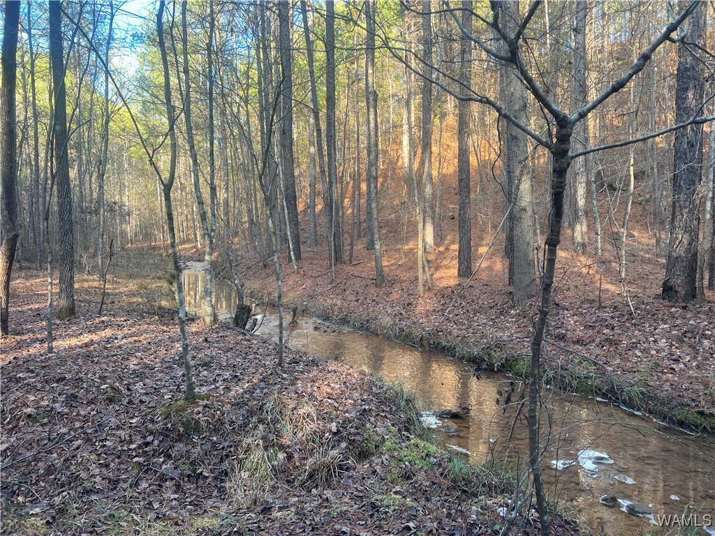 Chigger Ridge Rd, Brookwood, Alabama image 2