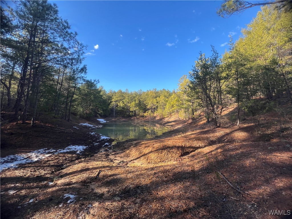 Chigger Ridge Rd, Brookwood, Alabama image 3