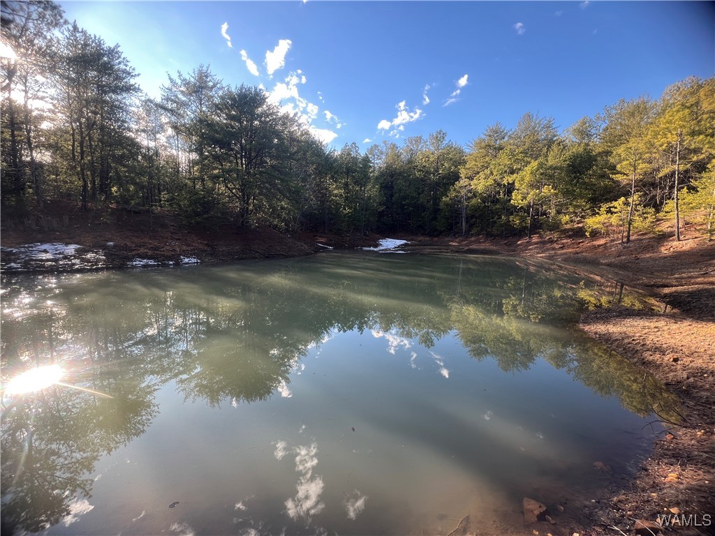 Chigger Ridge Rd, Brookwood, Alabama image 15