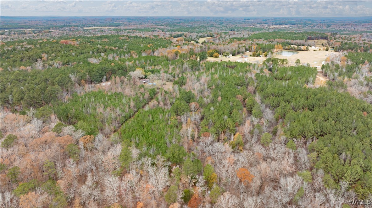 Lot 7 John Swindle Road, North Port, Alabama image 9