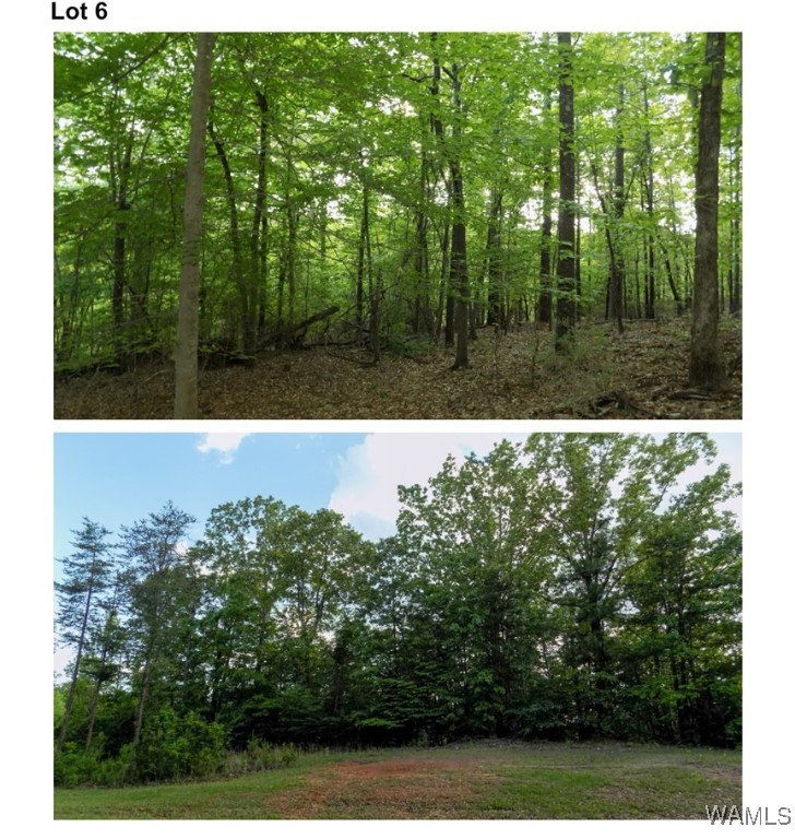 6240 Garner Road, Tuscaloosa, Alabama image 1