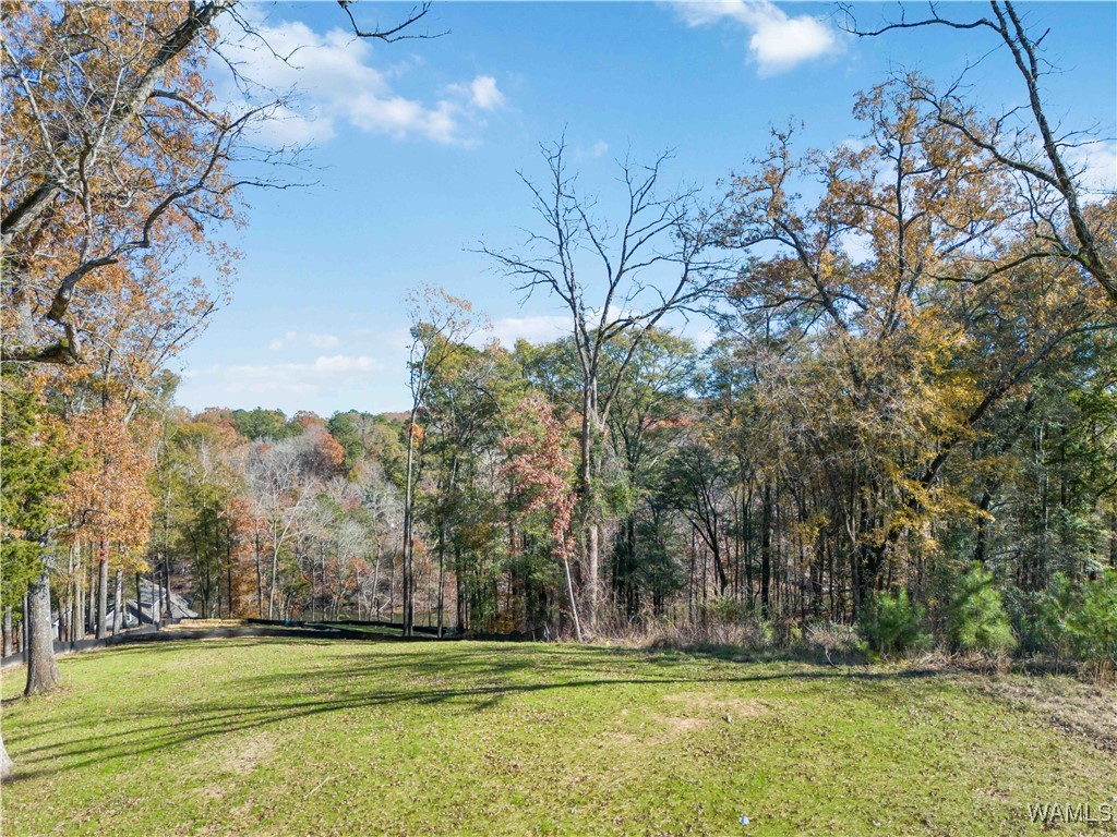 Lot 71 Highpoint Cove, North Port, Alabama image 15