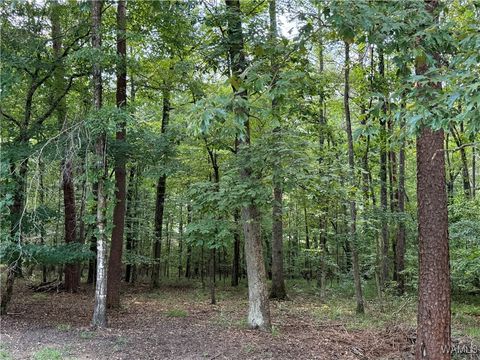 Vacant Land For Sale - Bridewell Circle<br/> McCalla, AL 35111