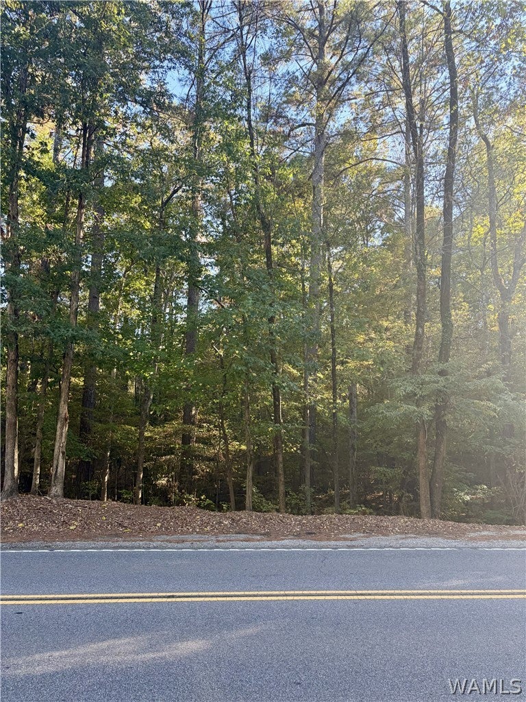 Lot 31 Rock Creek Drive