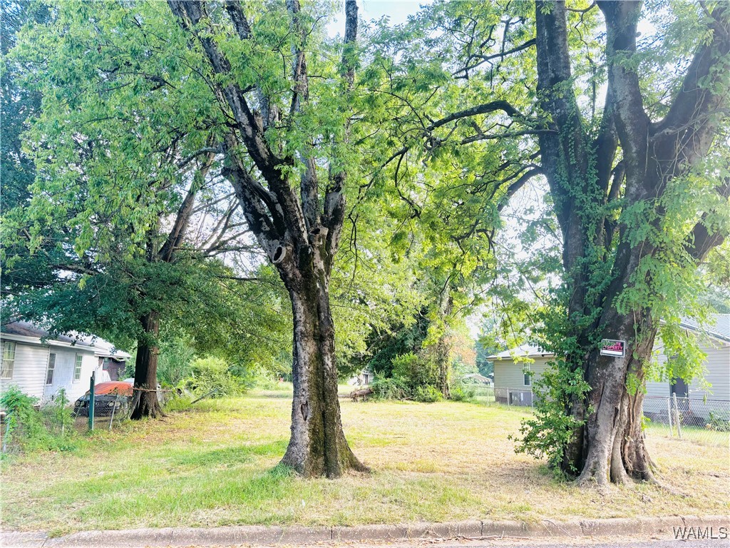 2683 22nd Street, Tuscaloosa, Alabama image 1