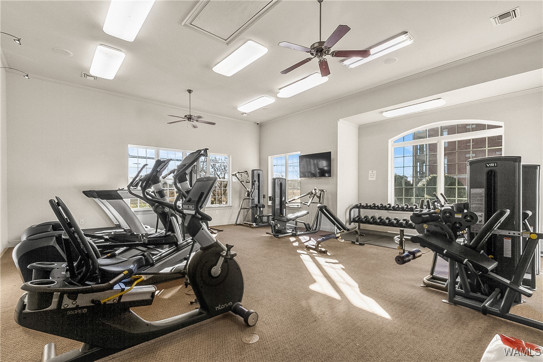 700 15th Street #3204, Tuscaloosa, Alabama image 34