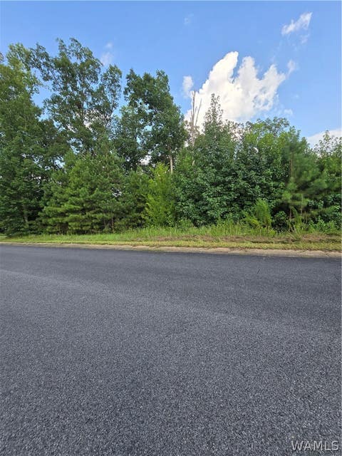 Vacant Land For Sale - 11700 Elam Drive<br/> North Port, AL 35475