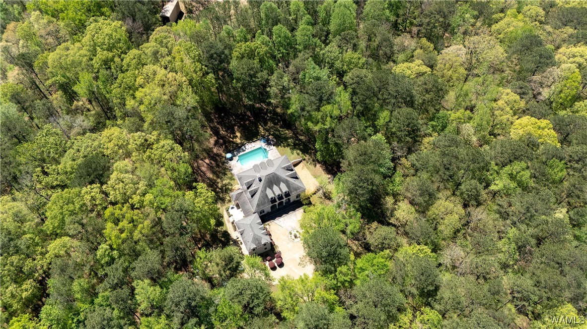 375 High Forest Dr, Fayette, Alabama image 1