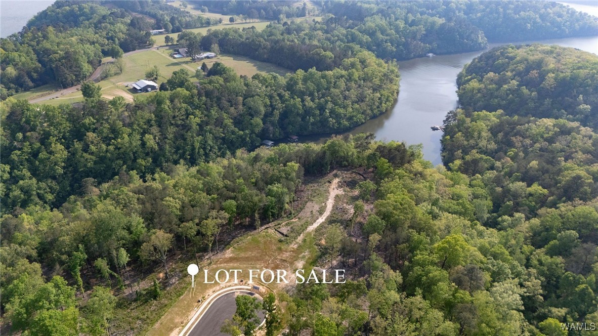 24 Fiji Way, Tuscaloosa, Alabama image 1