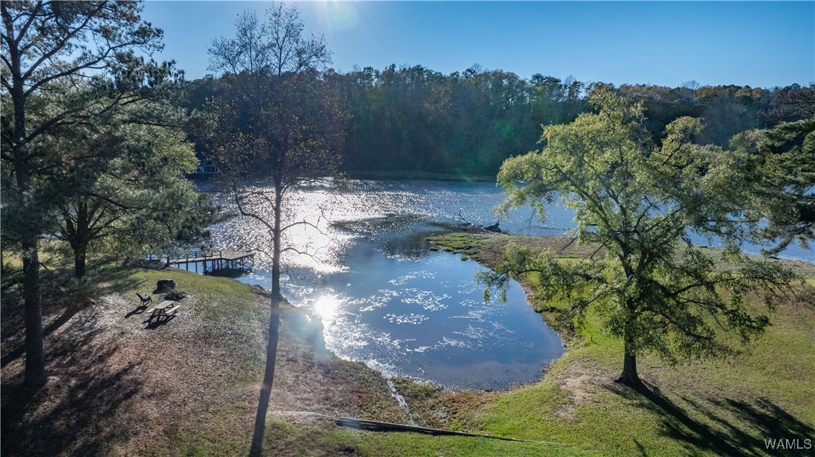 16772 North River Shores, North Port, Alabama image 8