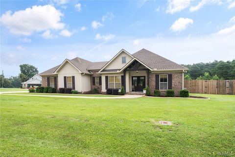 Homes For Sale - 15381 Bridgeview Drive Dr<br/> Tuscaloosa County, North Port, AL 35475