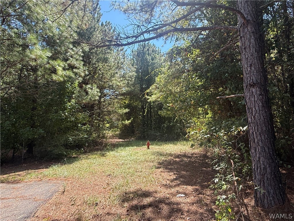 0 Stone-ridge Road - Photo 3