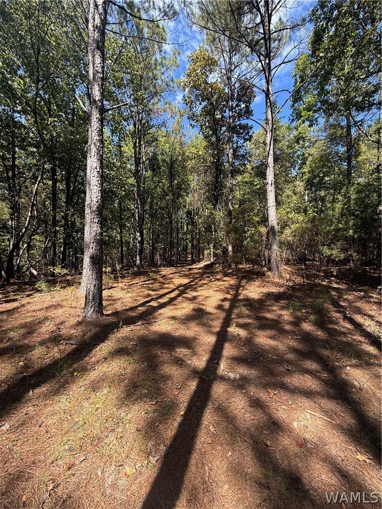 0 Stone-ridge Road - Photo 4