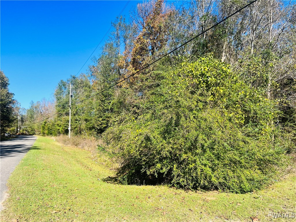 LOT #16 Jennings Ferry Road, Akron, Alabama image 5