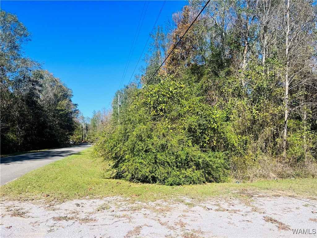 LOT #16 Jennings Ferry Road, Akron, Alabama image 2