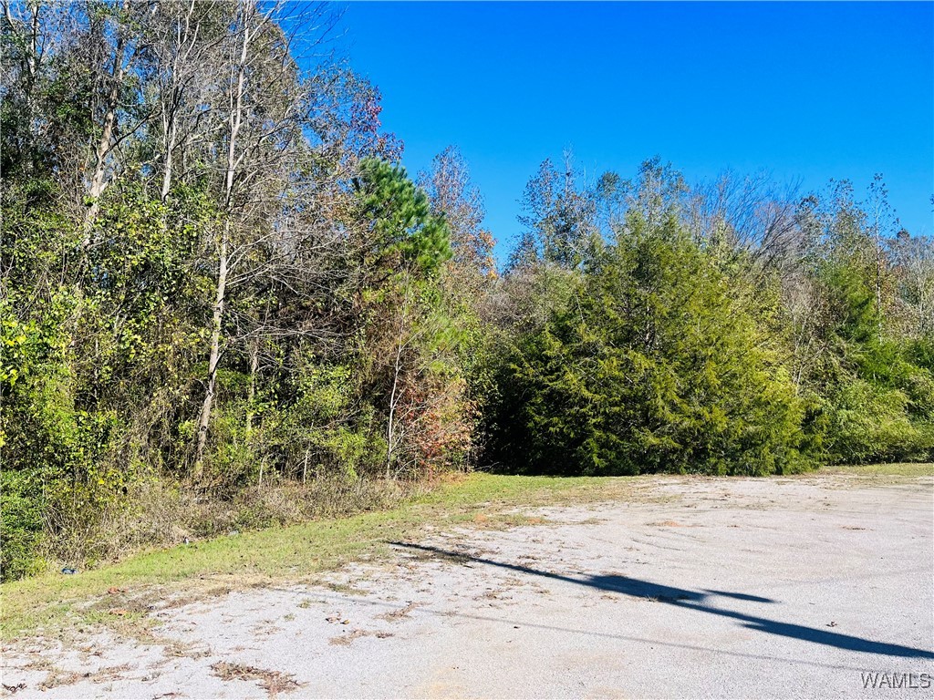 LOT #16 Jennings Ferry Road, Akron, Alabama image 1