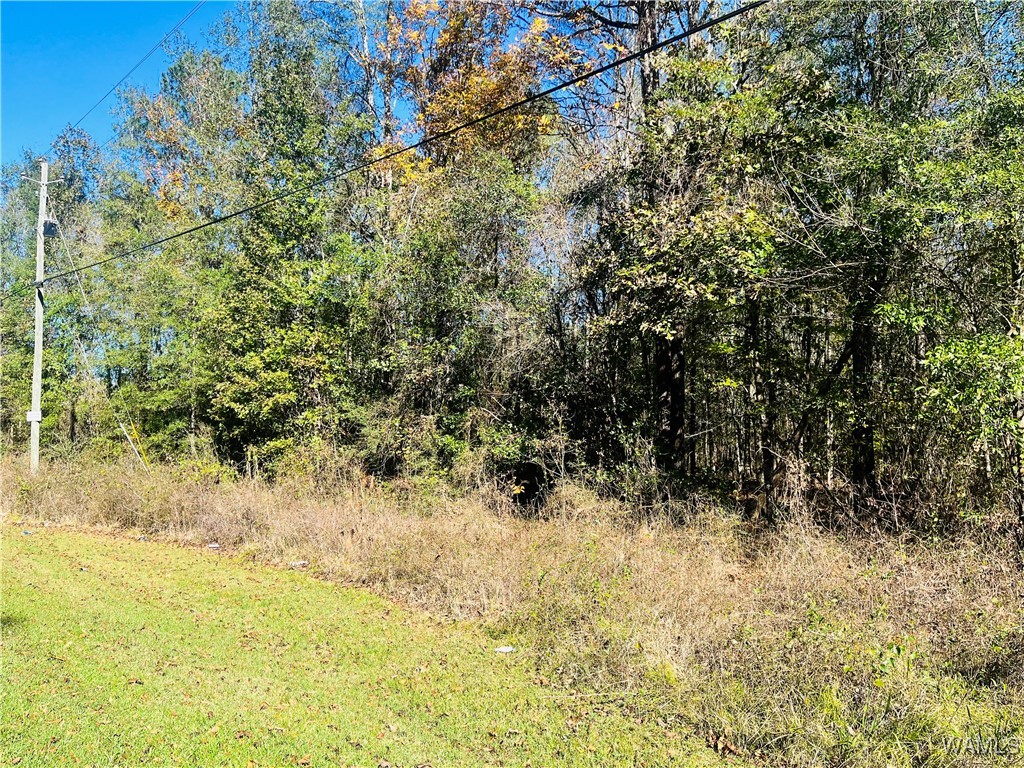 LOT #16 Jennings Ferry Road, Akron, Alabama image 3