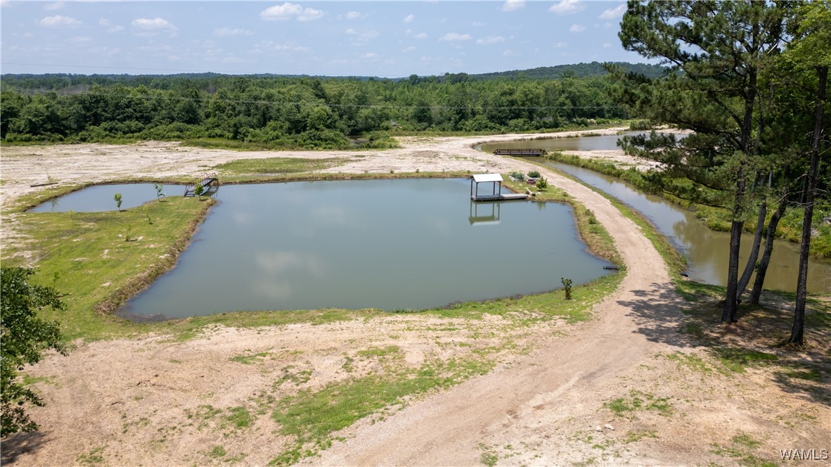 8409 County Road 21 N, Fayette, Alabama image 24