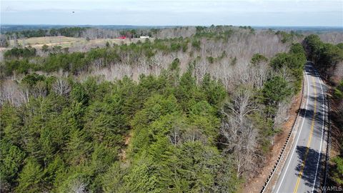 Vacant Land For Sale - 1 Highway 13<br/> Winston County, Nauvoo, AL 35575
