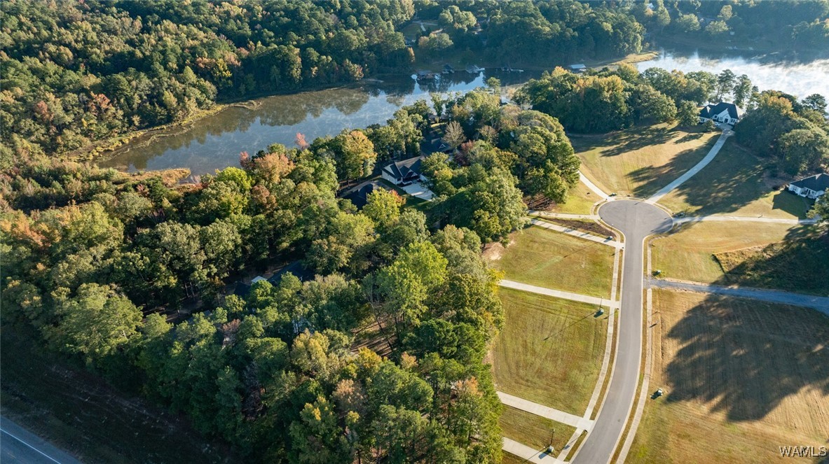 3 Rising Tide, North Port, Alabama image 11