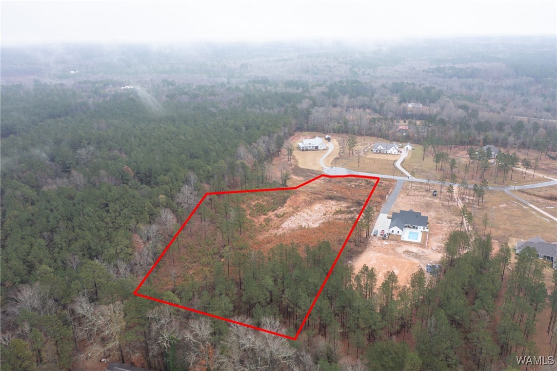 14548 Jackson Trace Farms, Coker, Alabama image 16