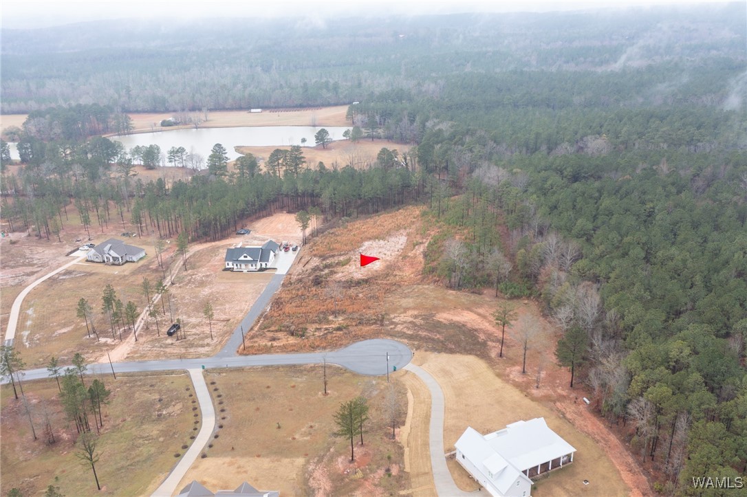 14548 Jackson Trace Farms, Coker, Alabama image 1