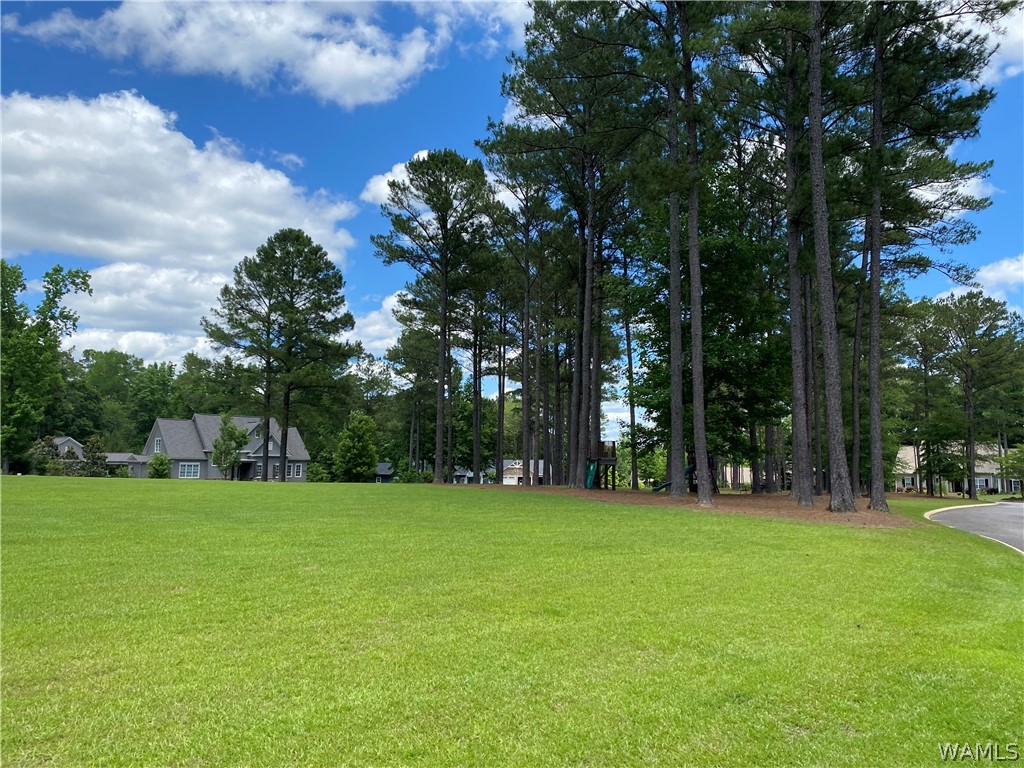 Legacy Lane #17, North Port, Alabama image 12