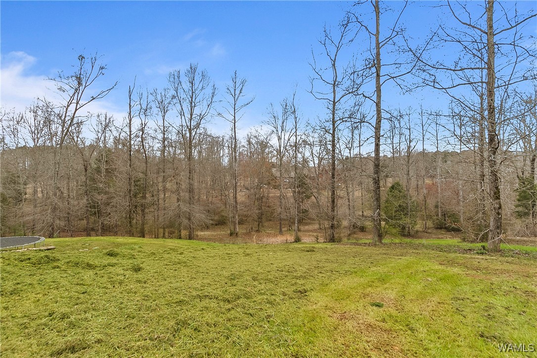 20442 Old Jasper Road, North Port, Alabama image 49