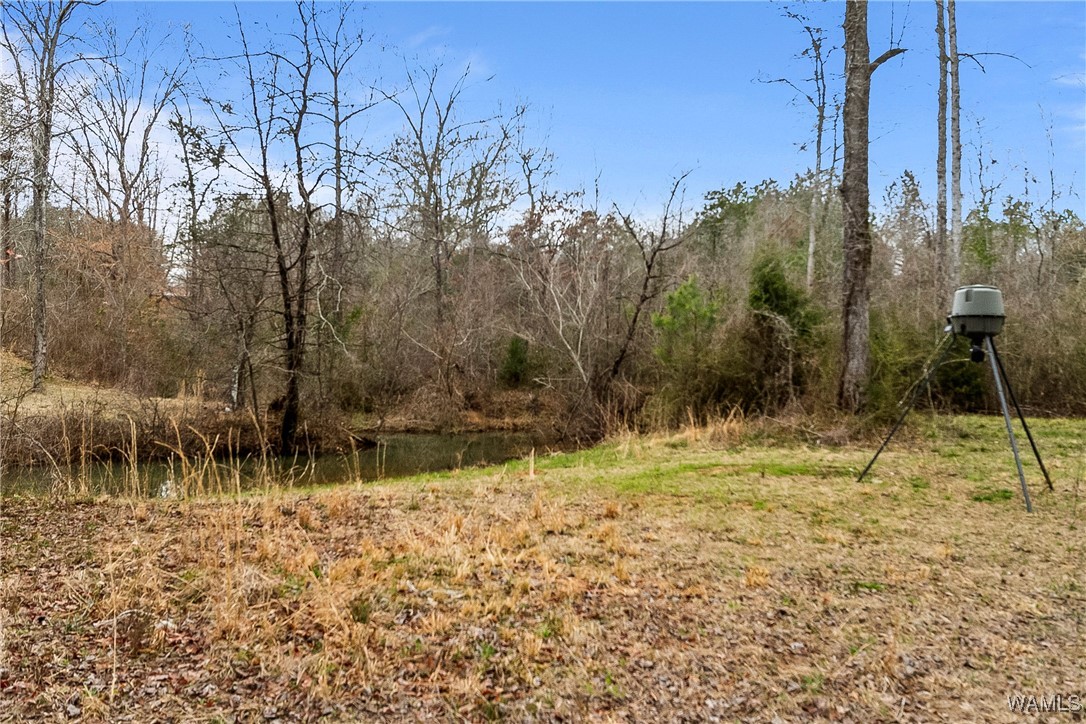 20442 Old Jasper Road, North Port, Alabama image 50