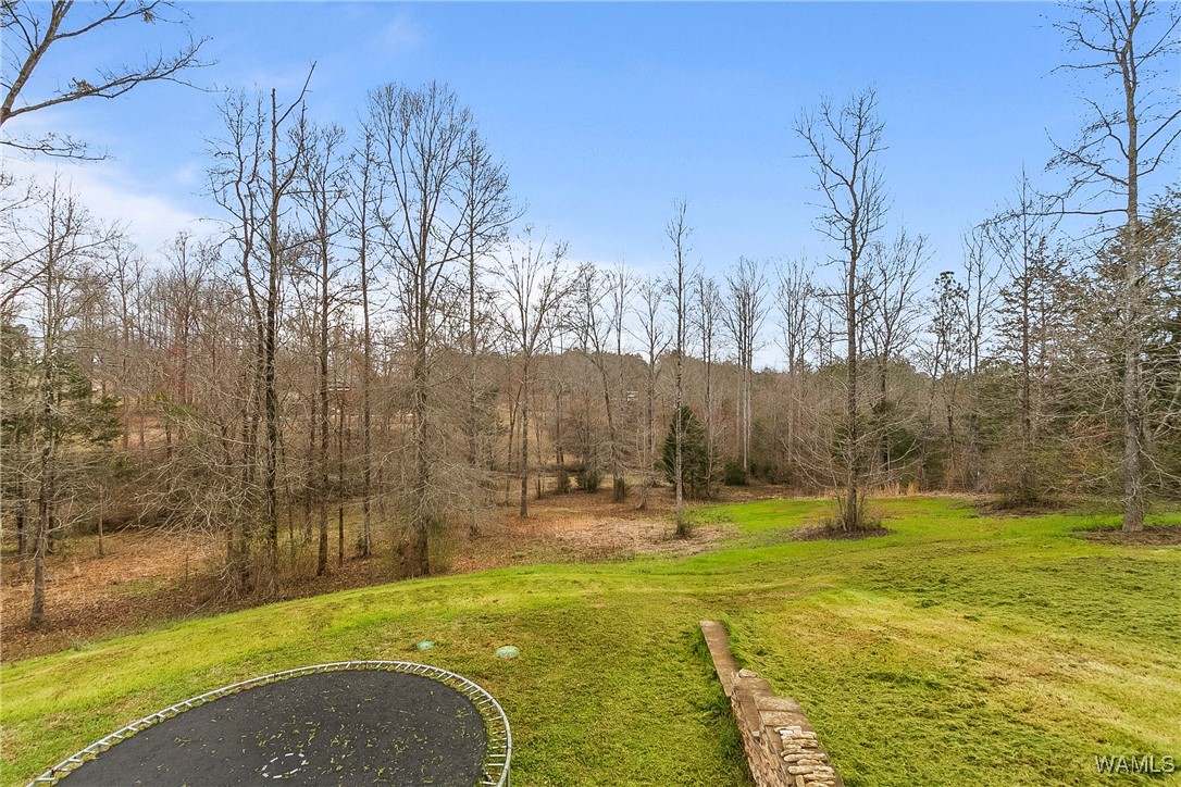 20442 Old Jasper Road, North Port, Alabama image 47