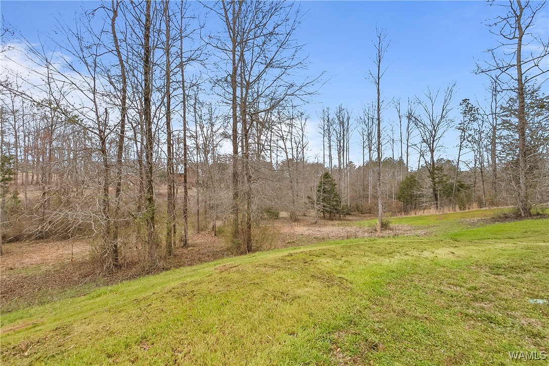 20442 Old Jasper Road, North Port, Alabama image 48