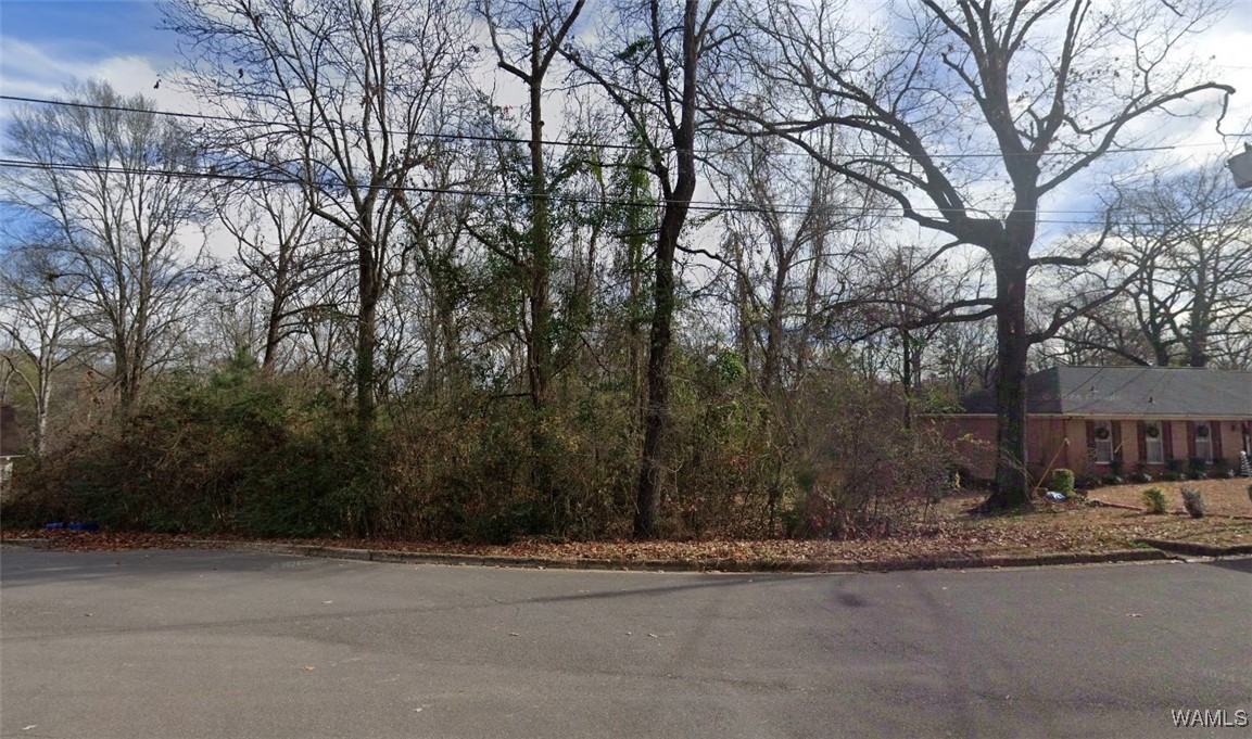 4431 Ridgewood Road, Tuscaloosa, Alabama image 2