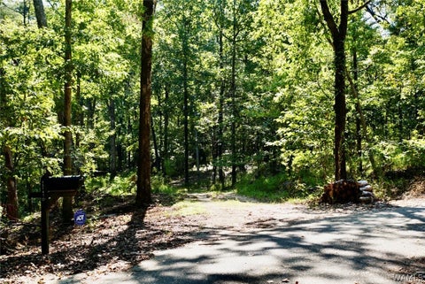 Homes For Sale - 15741 Lake Harbor Drive<br/> Tuscaloosa County, North Port, AL 35475