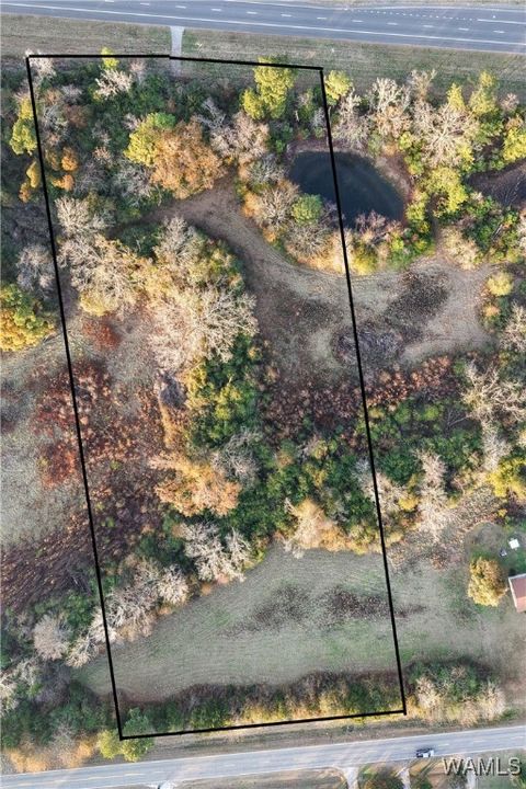 Vacant Land For Sale - 00 Montgomery Highway<br/> Centreville, AL 35042