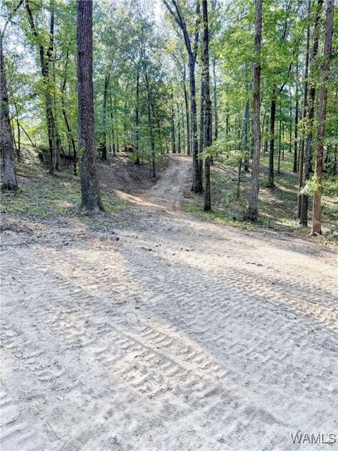 0 Frank Lary Road Northport AL 35475