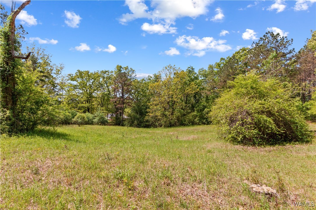 16365 Romulus Road, Buhl, Alabama image 48