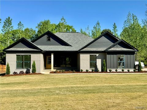 11877 Meadowview Drive, Northport, AL 35475 - #: 162048